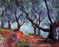 Bosque de olivos en el bosque de Bordighera Claude Monet